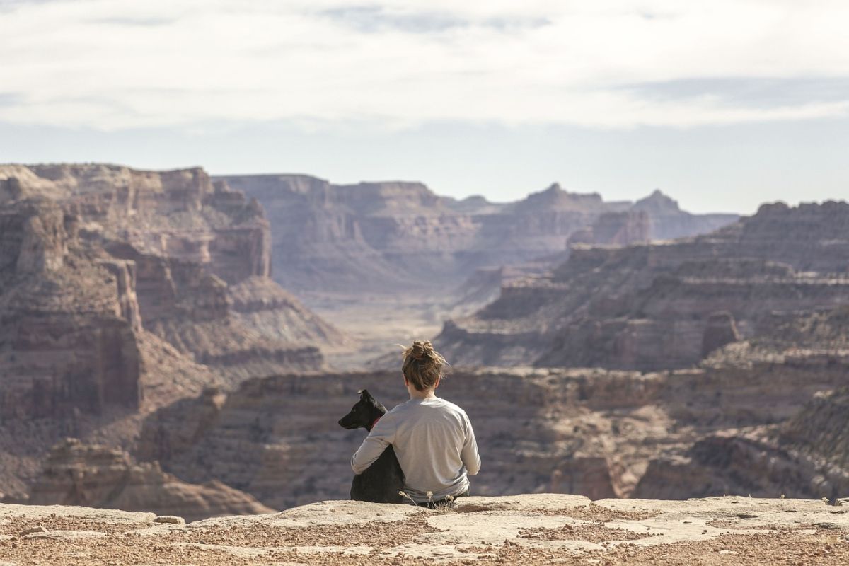 traveling with pets